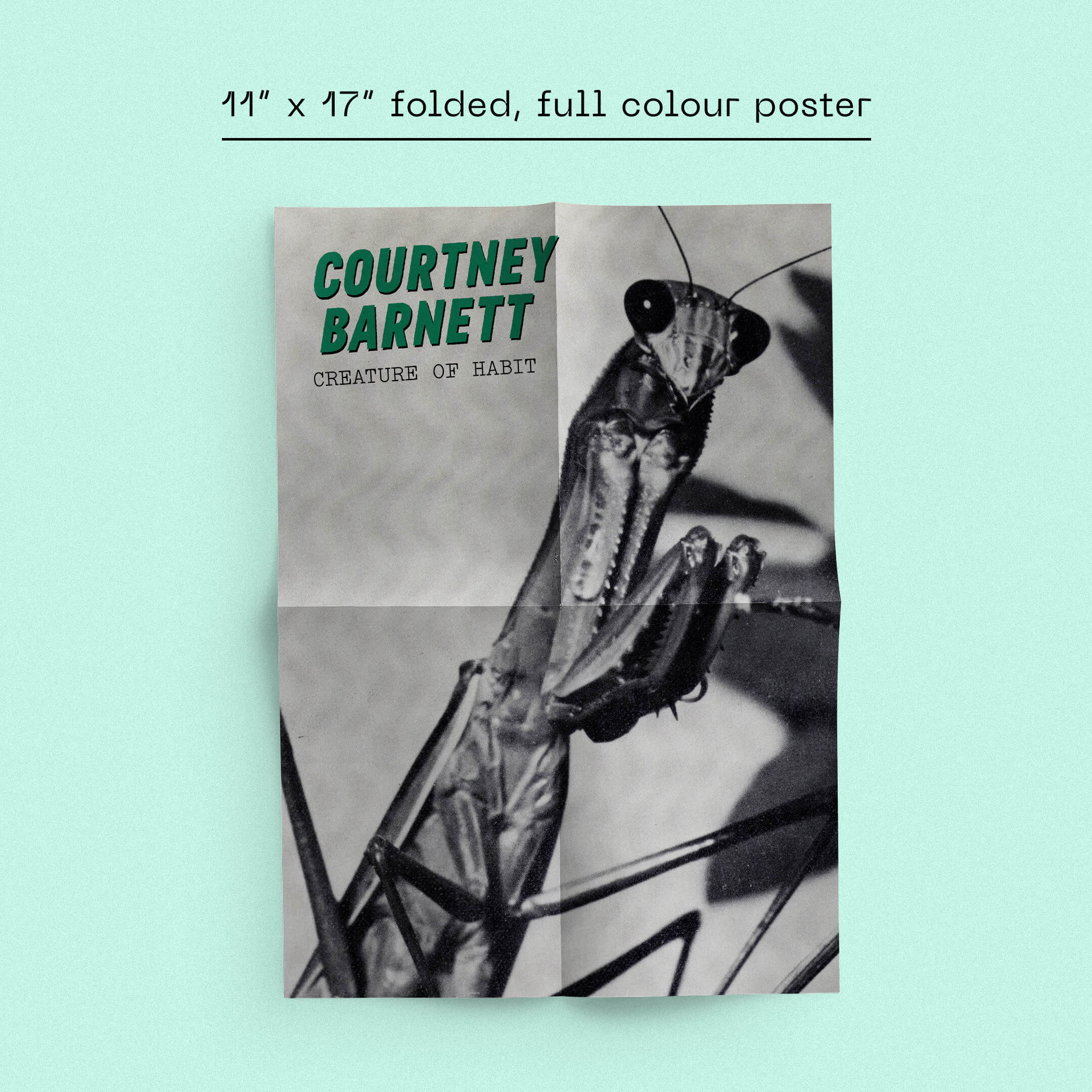 Courtney Barnett - Creature of Habit (Dinked Edition Vinyl) - Image 3