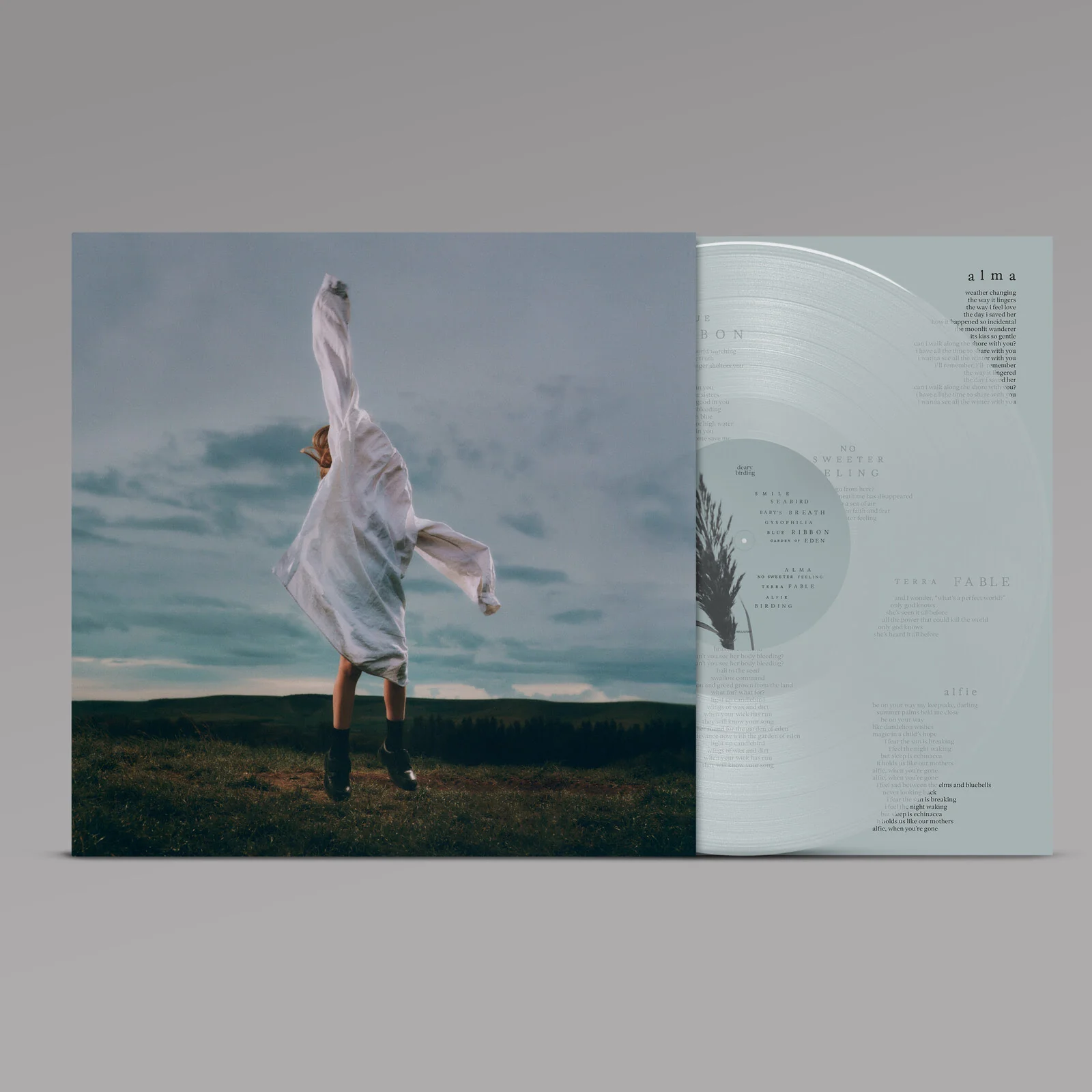 deary - Birding (Transparent Pale Blue Vinyl)