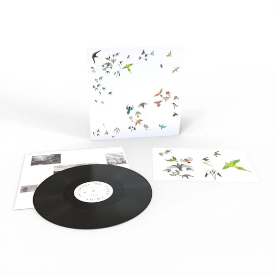Modern Nature - No Fixed Point In Space (Vinyl)